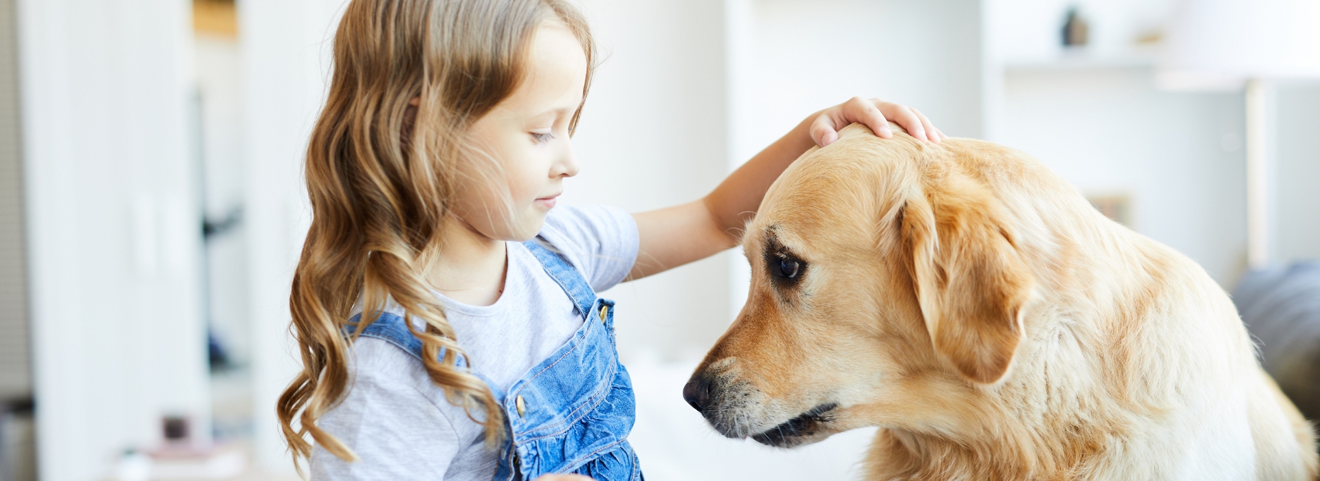 כלבים וילדים