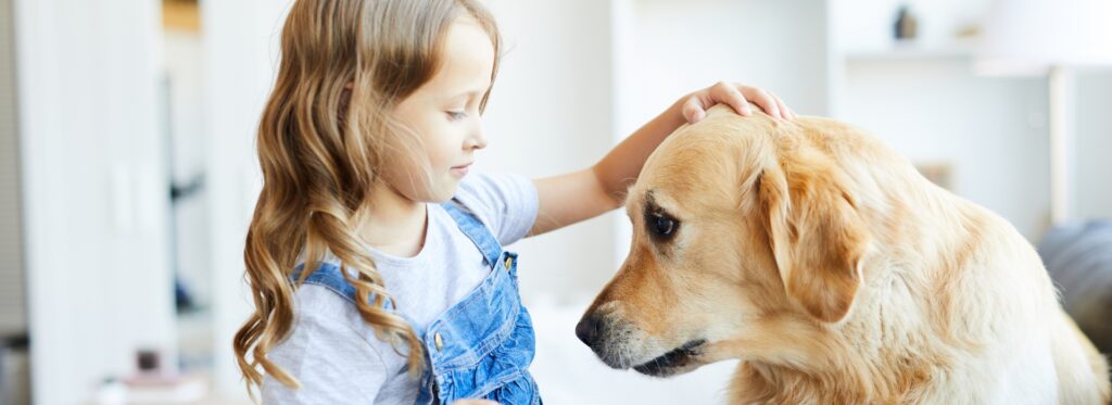 כלבים וילדים