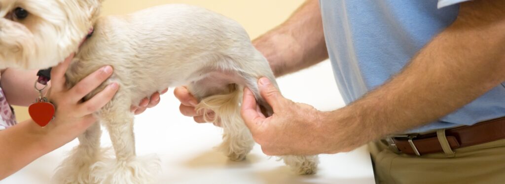 מחלות מפרקים_ 5 סימני אזהרה שמעידים על צורך בבדיקת אורתופד